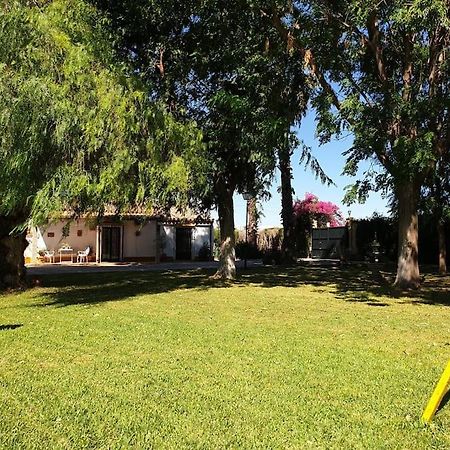Finca El Romero, Finca A 15 Minutos De Sevilla Алькала-дель-Рио Экстерьер фото