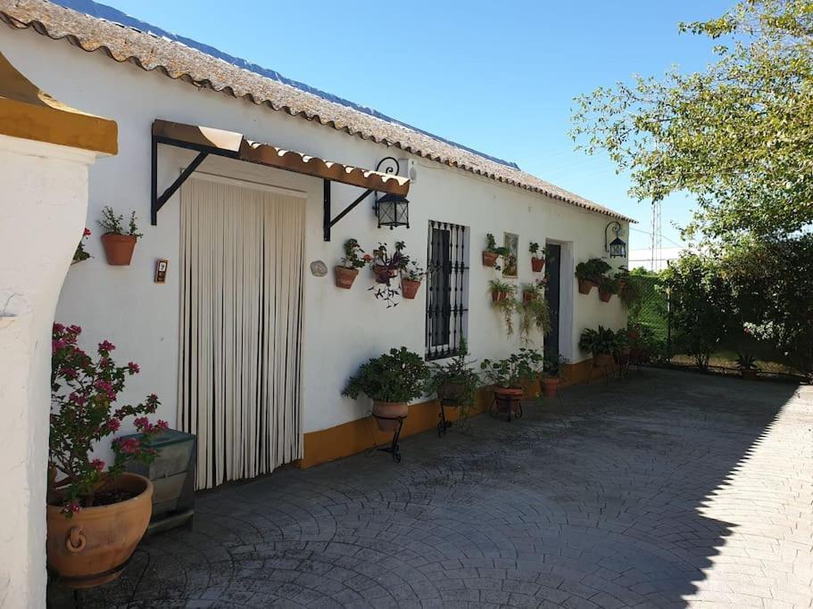 Finca El Romero, Finca A 15 Minutos De Sevilla Алькала-дель-Рио Экстерьер фото