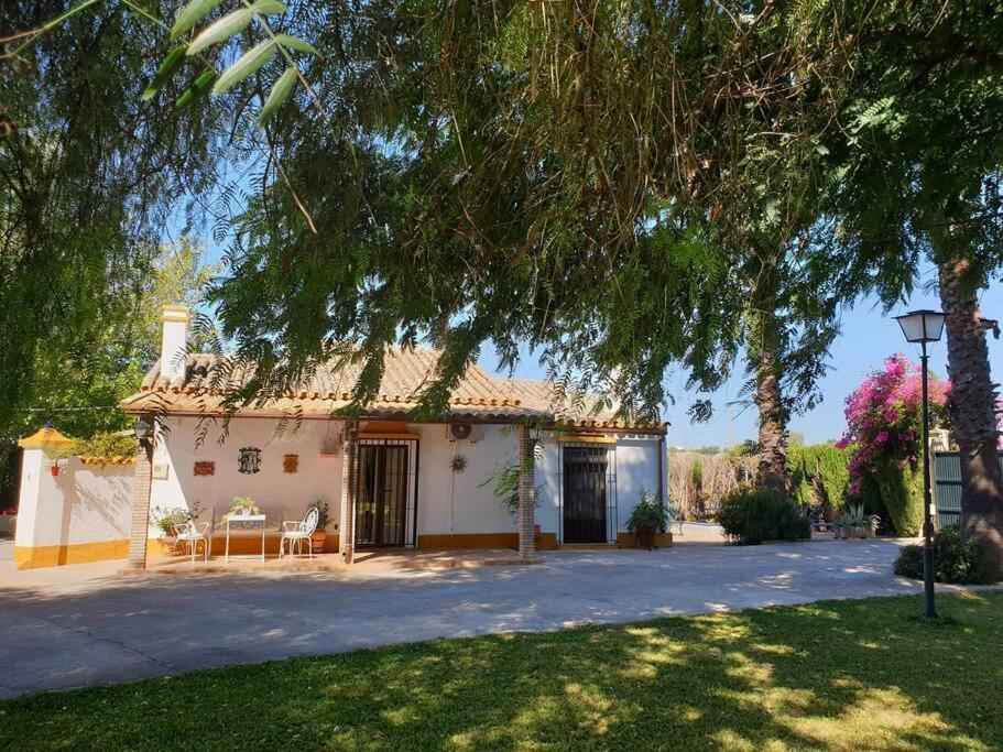 Finca El Romero, Finca A 15 Minutos De Sevilla Алькала-дель-Рио Экстерьер фото